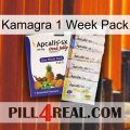 Kamagra 1 Week Pack 11